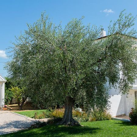 B&B Casale Savini Ortona Ngoại thất bức ảnh