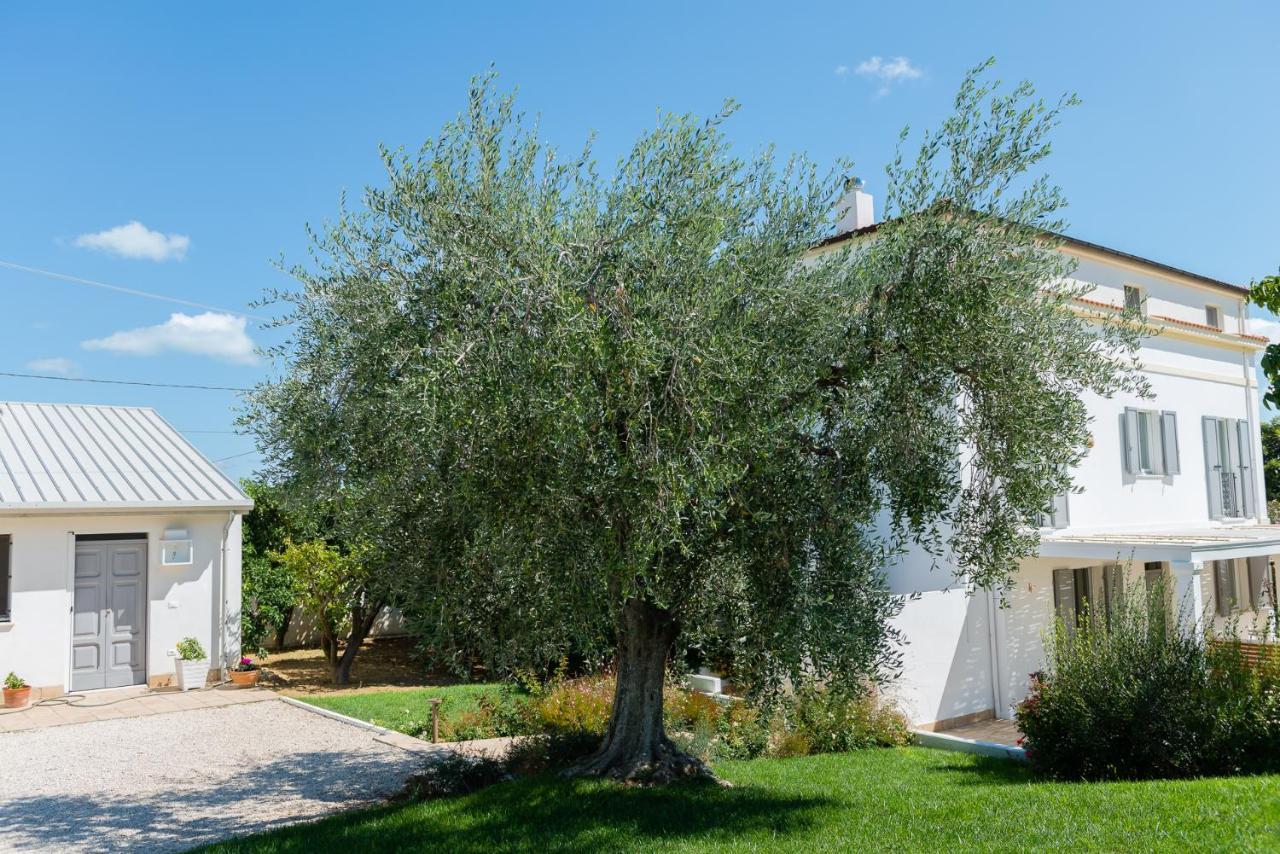 B&B Casale Savini Ortona Ngoại thất bức ảnh